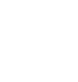   BLACK LANE 